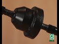 Seven steps to a successful planted tank by JBL