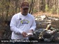 How to cure salmon eggs for fishing.