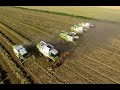 Grass Seed Harvest
