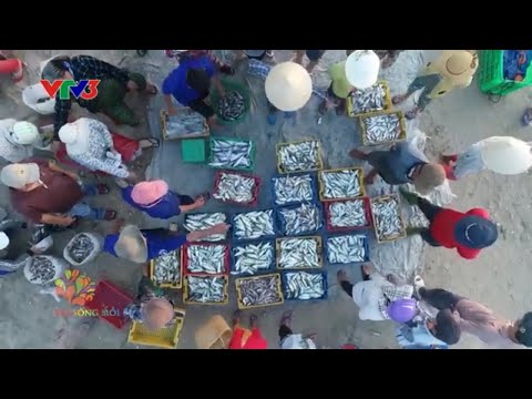 Buổi sáng ở chợ cá