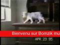 chat nachat www.letous.com