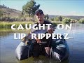 Lip RipperZ Fishing Lures - #1 Bait For Trout, Crappie, and Bream