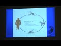 Dr. Shyam Sundar - Treatment of Visceral Leishmaniasis in Indian Subcontinent