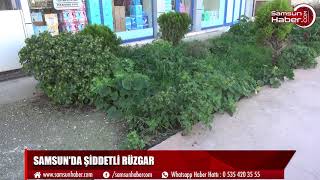 Samsun'da şiddetli rüzgar