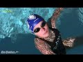 Go Swim Basic Backstroke with Steve Haufler