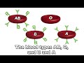 Cell Membranes Rap
