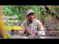 Calender ya Mungu)-SMS SKIZA 69810049 TO 811