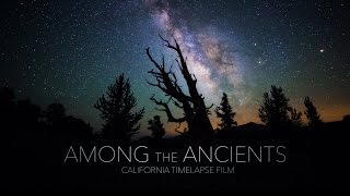 Among The Ancients - California Timelapse