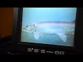 Muskellunge on patrol