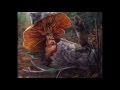 Crash Test Dummies - Two Knights and Maidens