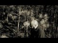 Sean Falyon - Sfbe In The Wild (freestyle) Sean Falyon - Sfbe In The Wild (freestyle)