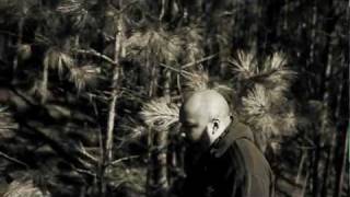 Sean Falyon - Sfbe In The Wild (freestyle) Sean Falyon - Sfbe In The Wild (freestyle)