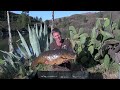 CARP FISHING IN GRAN CANARIA WITH ALAN BLAIR - NASH - THE HOLIDAY TAPES PART 1 - NASH TV