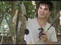Programa Pesca Alternativa Ep.330 - Nelson em busca das traíras