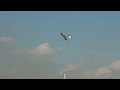 EasySky 4Ch Drifter Ultralight RC Aircraft (ES9908) WingSpan 950mm