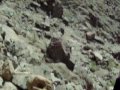 zafar & Ansar at ghar-e-hira.MOV