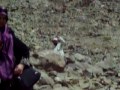 zafar & Ansar at ghar-e-hira.MOV