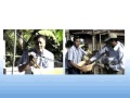 FOEX TESTIMONIOS