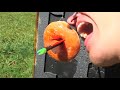 High Speed Fun and a Fly Responding to a Blast Wave | Smarter Every Day 55