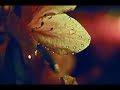 Handel - Poro - Caro amico amplesso! (Nuria Rial, Lawrence Zazzo)