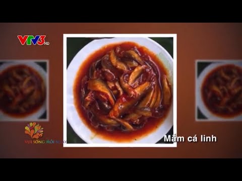 Mắm ruốc Huế xào ba chỉ chua cay