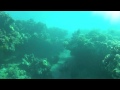 Free Diving Manele Bay in Lanai