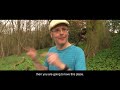 Learning English - Lesson Seventy Seven - Pruning