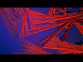 Immunity | Jon Hopkins