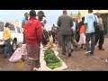 Women to hold 50% of Zimbabwe government posts