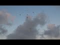 Multi-Salute-Shells 360p