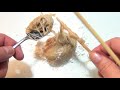 Make Your Own Chewing Gum Kit, Glee Gum - Part 2 of 2 (Watch Us Make Gum!)