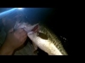 NIGHT FISHING LAKE GENEVA 2013
