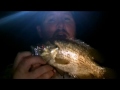 NIGHT FISHING LAKE GENEVA 2013
