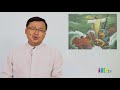 LỜI HẰNG SỐNG Chúa Nhật 24.06.2018: CÓ THẦY ĐÂY ANH EM ĐỪNG SỢ