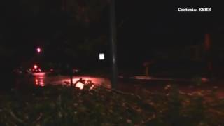Un hombre choca contra un árbol y pierde la vida en Kansas City