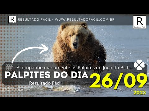 Palpite do dia 15/12/2023 Jogo do Bicho - Resultado Fácil 