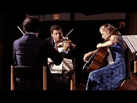 舒伯特鳟鱼五重奏 第四乐章 中文字幕 Schubert The Trout Quintet - YouTube