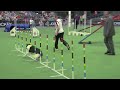 Winning team large dogs, FCI Dog Agility World Championship 2013, South Africa: Switzerland