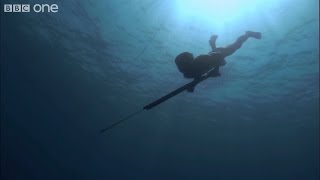 BBC, Filipino Diver from the Bajau Tribe - Buceador Filipino de la Tribu Bajau - HD