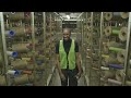 Shaw Industries has gone Google