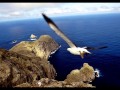 Neil Diamond Dear Father Jonathan Livingston Seagull HD