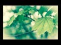 Plumb - I want you here sub español