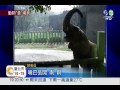 壽山動物餵食秀 3萬人搶看!