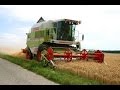 ŻNIWA 2015//OWIES//CLAAS