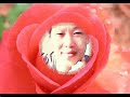 ꨅꨯꨤးꨕိတ္းလြင္ꨳသင္