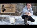 Arrow Gun Rabbit Hunt with FX Verminator and G5 Small Game Head (SGH)