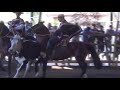Yeguas paridas y caballos topeando de grandes criaderos
