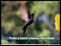 Sobre a cidade de Hortolândia - São Paulo SP