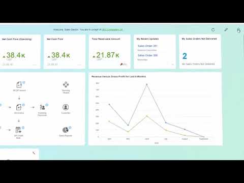 Dashboard analytics from SAP Business One powered by SAP HANA 