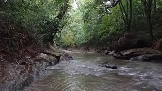 Dhikr of Astaghfirullahal Azim in a stream near the beautiful forest
